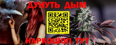 бошки Дубна