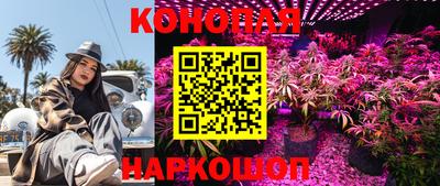 СК Донецк