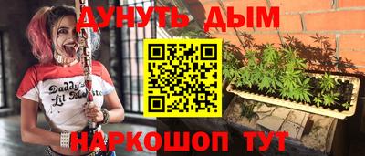 СК Донецк