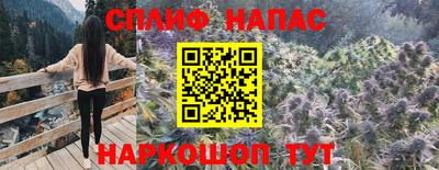 бошки Дубна